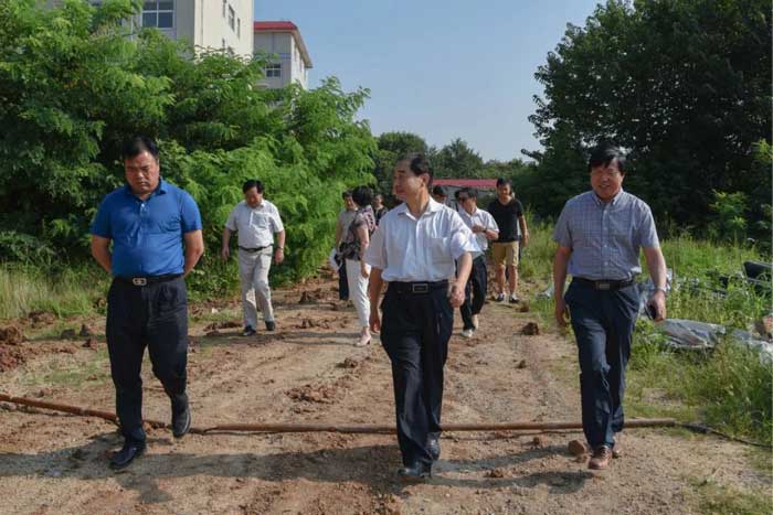 信阳市人民政府副市长张明春莅临我院调研中医药事业发展情况