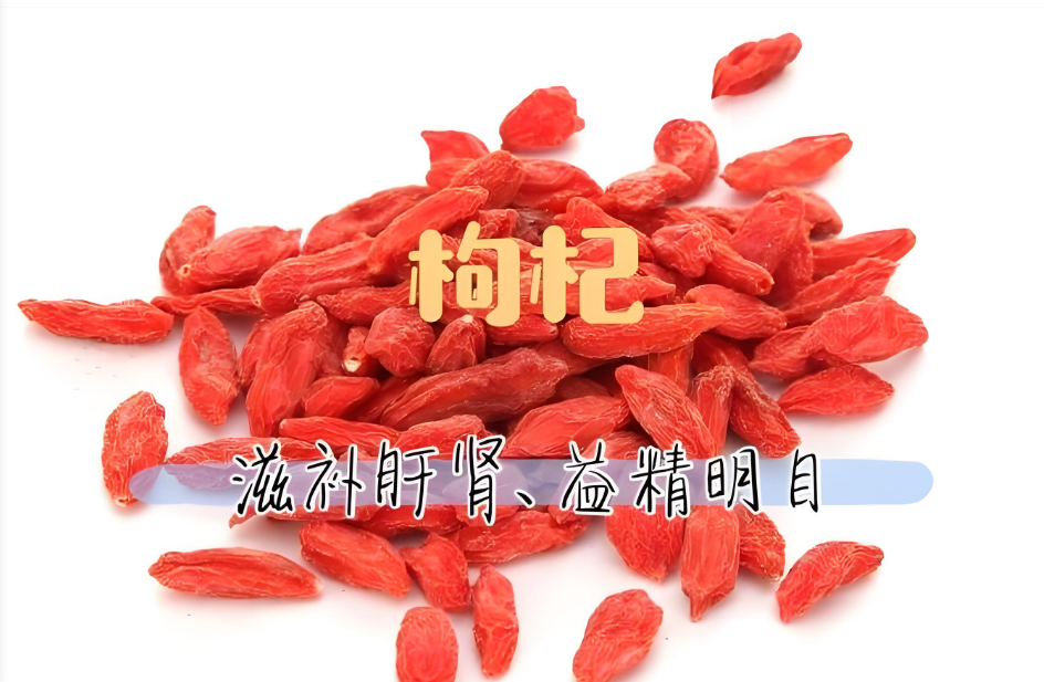 【本草小课堂】保温杯里的“长寿果”，你真的泡对了吗？
